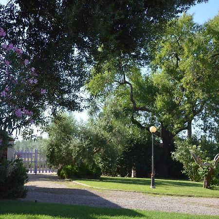 Agriturismo Masseto Hotel Campiglia Marittima Buitenkant foto
