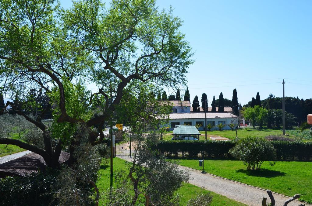 Agriturismo Masseto Hotel Campiglia Marittima Kamer foto